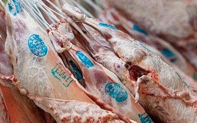 Πιστοποιητικό ικανότητας εκδοροσφαγέων