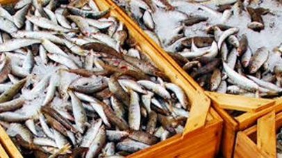 Ευρωπαϊκά κονδύλια αλιείας – υδατοκαλλιέργειας