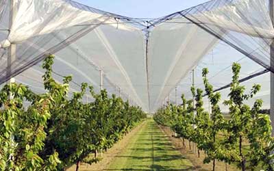 Απαλλαγή φόρου κερδών αγροτικής δραστηριότητας