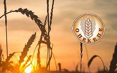 Έλεγχος στον ΟΠΕΚΕΠΕ