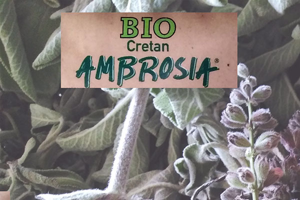 BIO CRETAN AMBROSIA