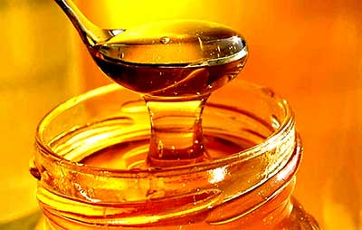 Στήριξη μελισσοκομίας