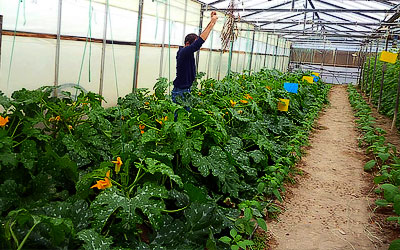 Έναρξη εγγραφών Γεωργικής Σχολής Μεσσαράς