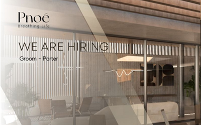 Ζητείται Groom – Porter