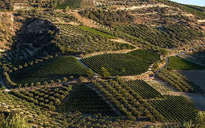 ΦΕΚ αποζημιώσεων πετρέλαιο – λιπάσματα