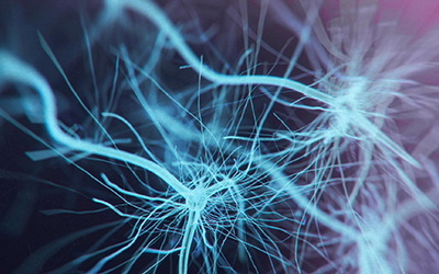 Νέα εταιρεία spin-off Πανεπιστημίου Κρήτης