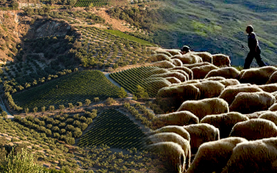 Αγρότες και κυβέρνηση: πολιτικά όρια και η αξιοπιστία της εξουσίας