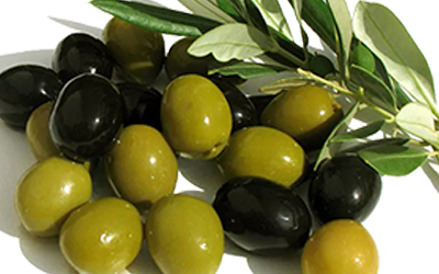 Υποβολή δηλώσεων συγκομιδής ελαιοκάρπου