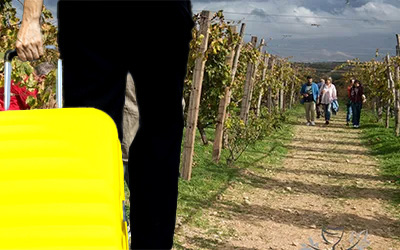 Αναγκαία συνεργασία τουρισμού – πρωτογενή τομέα