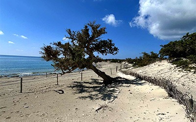 Η Χρυσή Πρότυπο Βιώσιμης Ανάπτυξης