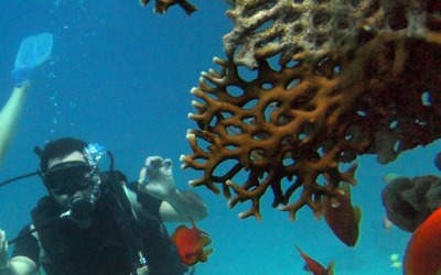 Καταδυτικό Πάρκο Αγίας Πελαγίας 