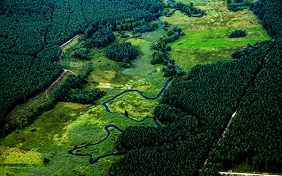 Σύστημα Παρακολούθησης Εκτάσεων